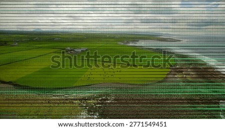 Showing aerial patchwork of green fields and grazing herd by rocky tidal shoreline, with scan lines. Coastal, estuary, paddock, drone, sheep, cattle, mudflat