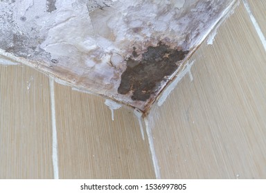 Ceiling Damp Images Stock Photos Vectors Shutterstock