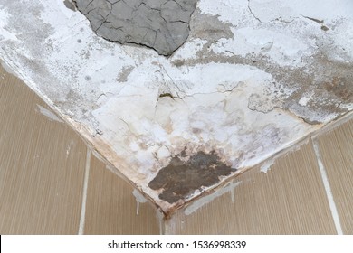 Ceiling Damp Images Stock Photos Vectors Shutterstock