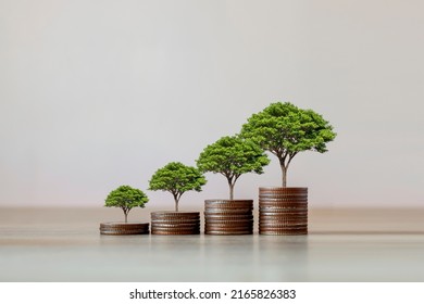 Showing financial developments and business growth with a growing tree on a coin. - Shutterstock ID 2165826383