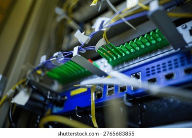Showing flat design fiber patch panel with green adapters and labeled cables in rack environment. Technology, networking, data, infrastructure, connectivity, industrial, cybersecurity