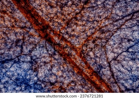 Showing Light micrograph Type of Tissue Human under the microscope in Lab.