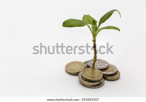 投資と貯蓄を象徴するお金の山から育つ植物を見せる の写真素材 今すぐ編集