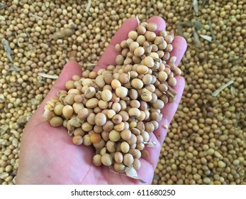 Showing Soybean Meal,high Protein For Healthy