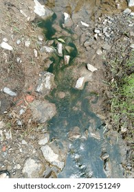 shows a drain or small gutter clogged with stagnant water and green algae growth