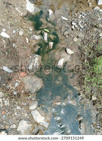 shows a drain or small gutter clogged with stagnant water and green algae growth
