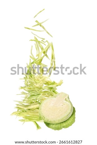 Shredded Cabbage Falling Isolated on White Background.
