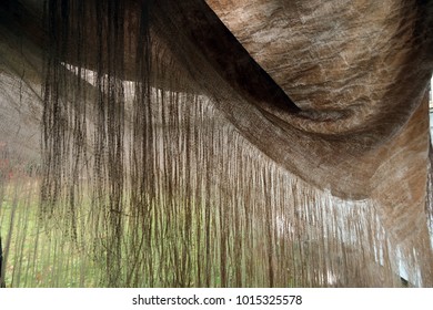 Shredded Tarp Hanging In Front Of Camera. Natural Light. 