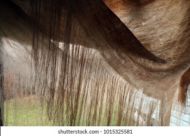 Shredded Tarp Hanging In Front Of Camera. Natural Light. 