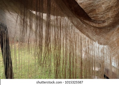 Shredded Tarp Hanging In Front Of Camera. Natural Light. 