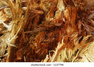 Shredded Wood