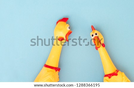 Shrilling Chicken toy on a blue background. Rubber squeaky Chicken Toys are isolated on a blue background. Copyspace