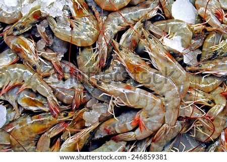 Shrim
