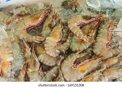 shrimp