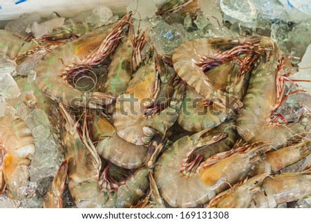 shrimp