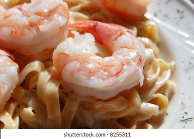 Shrimp Alfredo Close Up