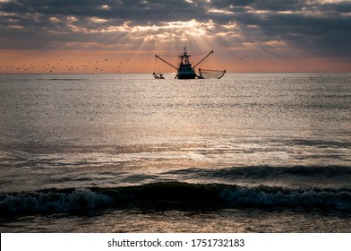 Shrimp Boat. Crabbing At Sunset At The North Sea