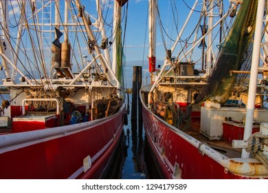 Shrimp Boats in the Harbor