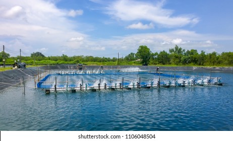 shrimp farm and water turbine