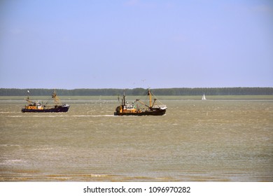 Shrimp Fishermen Boats On The Western Scheldt In Zeeland, Netherlands 