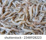 Shrimp. Fresh raw shrimps at the market for sell. Heap of prawns with top view. Shrimp pattern, prawn texture.