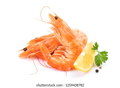 Shrimp On White Background