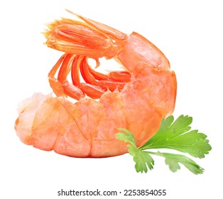 Shrimp on white background isolated - Shutterstock ID 2253854055