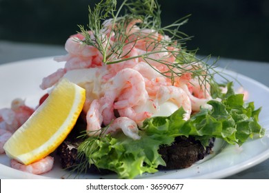   	 Shrimp Salad Sandwich