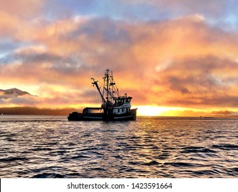 Shrimp Trawler Near Petersburg Alaska