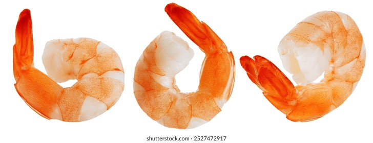 Shrimps isolated on white background 