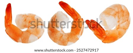 Shrimps isolated on white background 