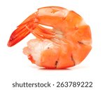 shrimps on a white background