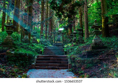 shrine in the forest, Aso, Kumamoto