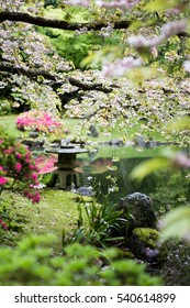 Shrine In A Japanese Garden In The Springtime. Cherry Blossoms Seen. 