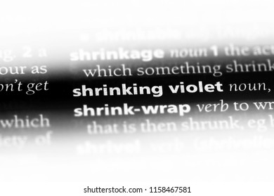 Shrinking Violet Word In A Dictionary. Shrinking Violet Concept.