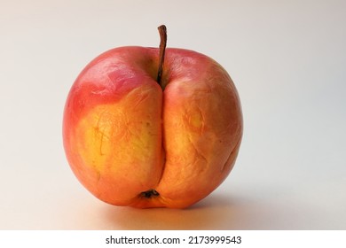 A shriveled, wrinkled and withered old apple.