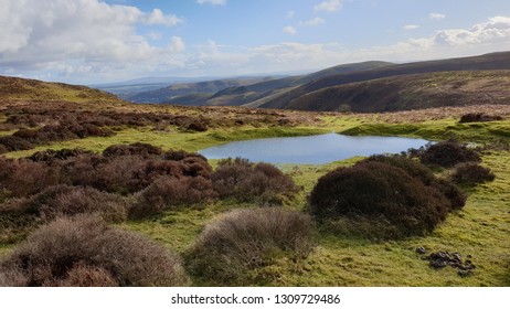 Shropshire Long Mynd 