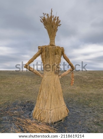 Shrovetide straw effigy Maslyana. Maslenica doll among field before burning. Symbol of Maslenitsa. Celebration winter end - traditional Slavic fest Ukraine, Belarus, Russia