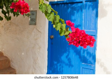 Shrub with pink flowers bougainvillea at the white house with blue door, Mediterranean