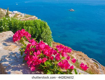 Shrub with pink flowers on the background of the sea and sky ...