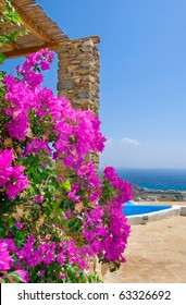 Shrub with pink flowers on the background of the pool, sea and sky ...