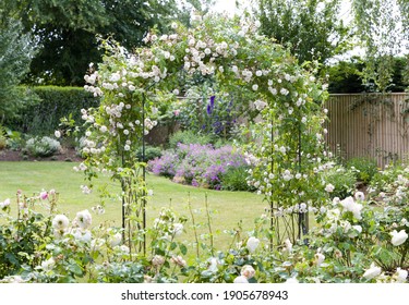 Shrub roses and rambling rose on an arch in a UK garden - Shutterstock ID 1905678943