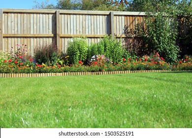 Shrubs And Flowers In A Border Surrounded By A Wooden Panel Fence And Grass Lawn In A Back Garden.