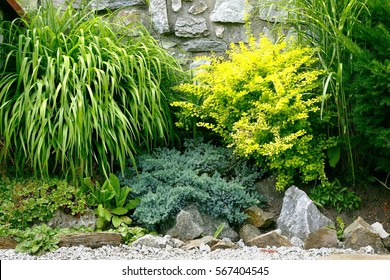 Shrubs In The Garden Wall