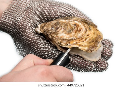 Shuck, opening french oysters