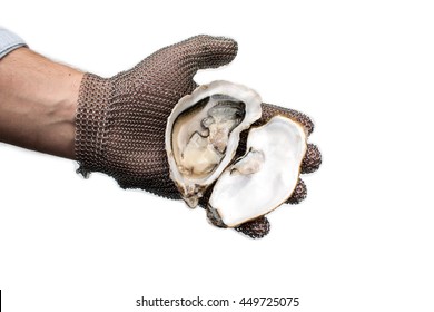 Shuck, Opening French Oysters