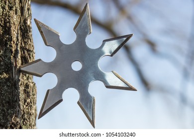 Shuriken cold Japanese weapon concept outdoor with space for copy or text