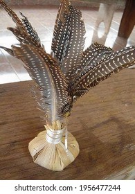 Shuttlecock Sport And Indigenous Culture Of The Terena Ethnic Group