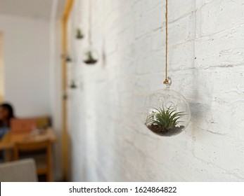 Shuweikh, Kuwait City / Kuwait - 24 January 2020: Interior Decor Hanging Glass Bubble Plant Planter Terrarium