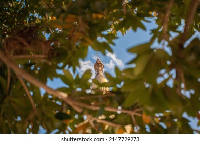 Shwemawdaw Pagoda in Bago, Myanmar